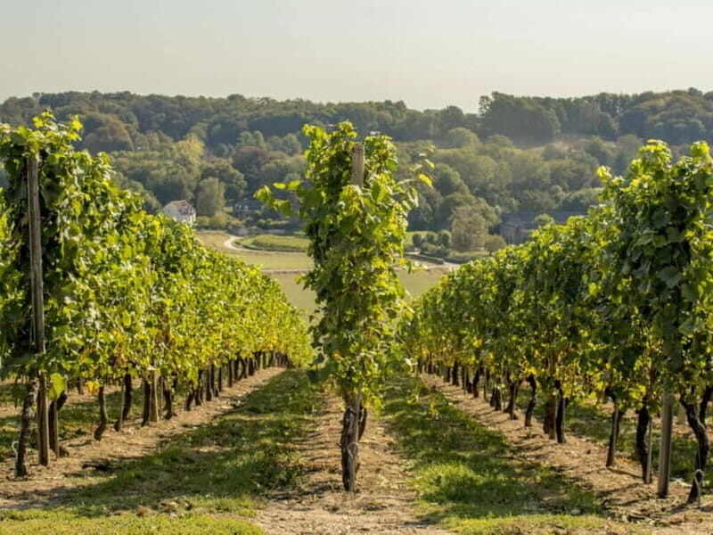 Arnhem: 8-hour culinary car tour of Veluwe - Final Thoughts: Is This Tour Worth It?