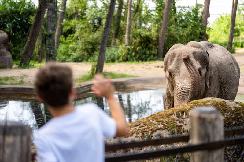 Arnhem: Burgers Zoo Entry Ticket - Cancellation Policy