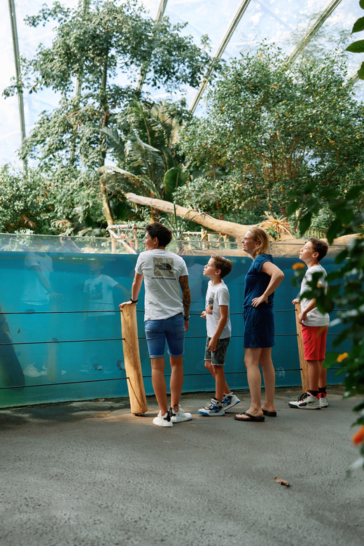 Arnhem: Burgers Zoo Entry Ticket - Booking Options