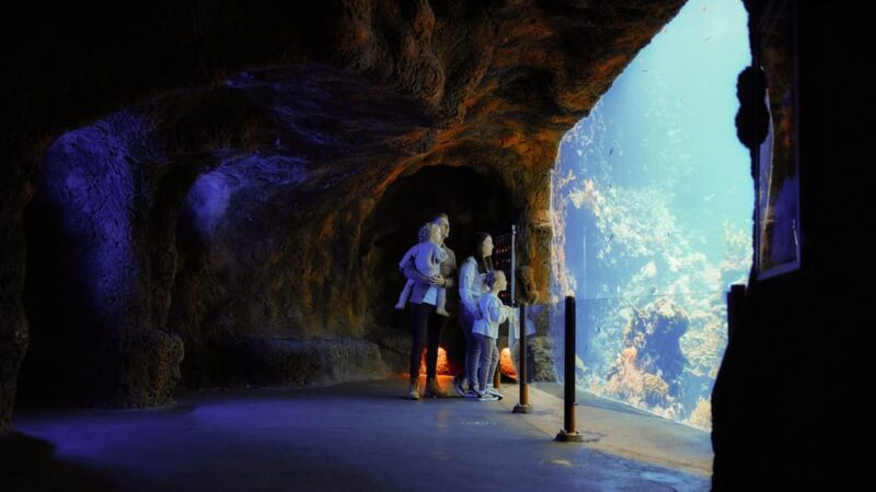 Arnhem: Burgers Zoo Entry Ticket - Zoo Experience Overview