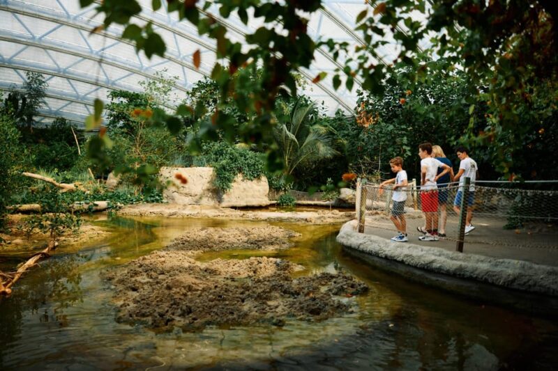 Arnhem: Burgers Zoo Entry Ticket - Highlighted Attractions