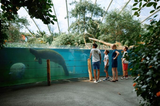 Arnhem: Burgers Zoo Entry Ticket - Admission Inclusions