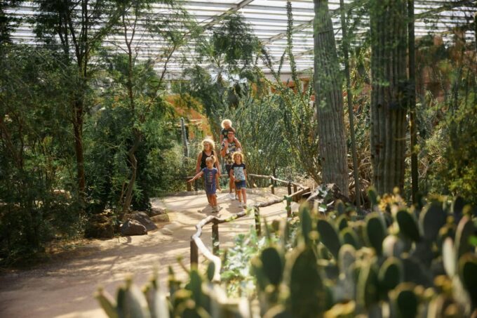Arnhem: Burgers Zoo Entry Ticket - Visitor Feedback