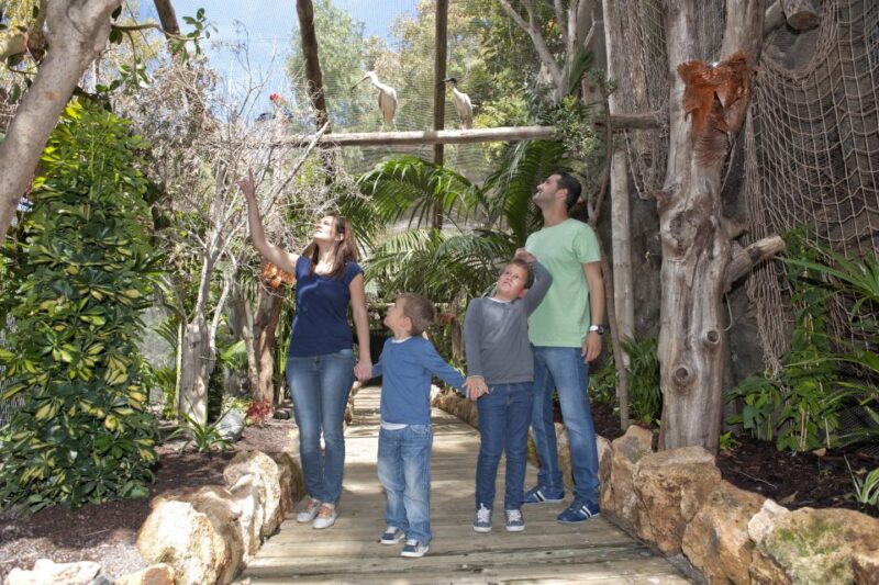 Arona: Entry Ticket to Tenerifes Jungle Park Zoo - Attractions and Experiences