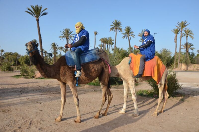 Around Marrakech: Camel Ride in Palm Groves Including Tea - Duration and Pricing