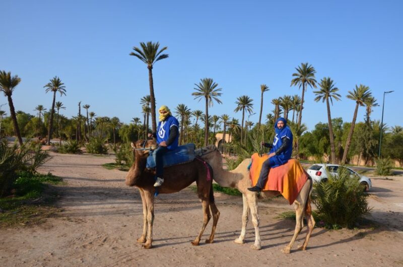 Around Marrakech: Camel Ride in Palm Groves Including Tea - Cancellation and Reservation