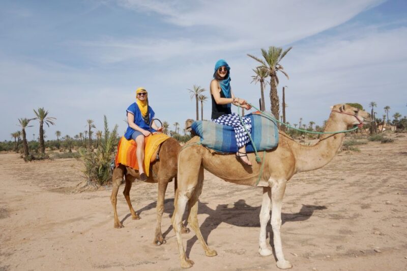 Around Marrakech: Camel Ride in Palm Groves Including Tea - Camel Ride Itinerary