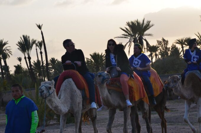 Around Marrakech: Camel Ride in Palm Groves Including Tea - Highlights and Inclusions