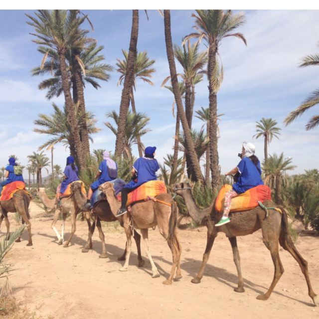 Around Marrakech: Camel Ride in Palm Groves Including Tea - Important Considerations