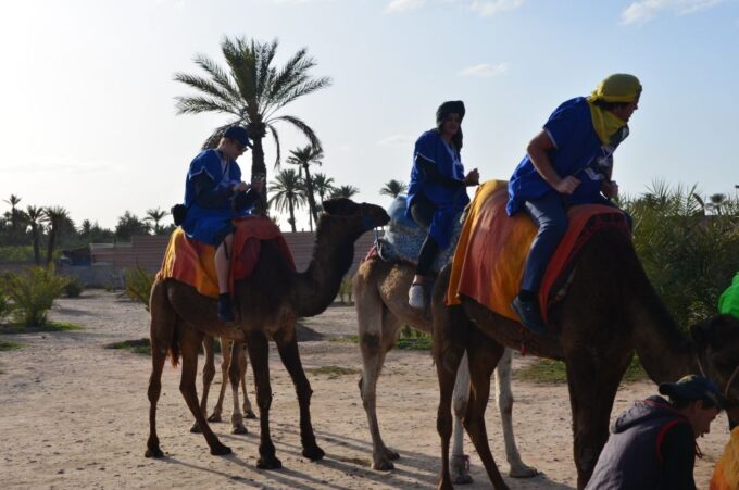 Around Marrakech: Camel Ride in Palm Groves Including Tea - Frequently Asked Questions
