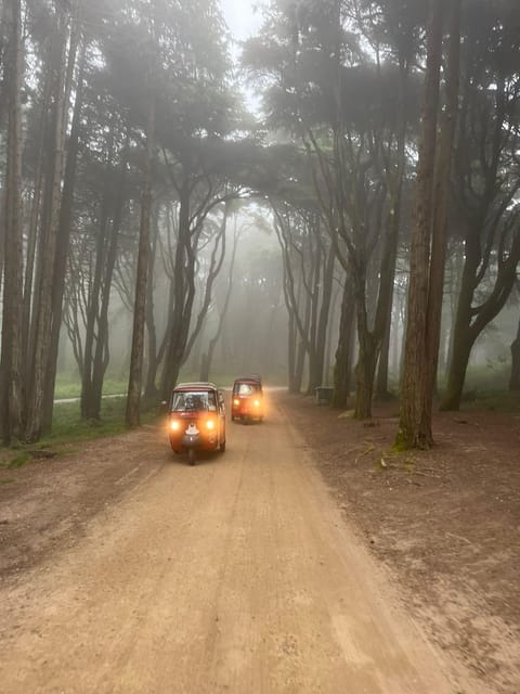 Around Pena Palace Tuk Tuk Tour - An In-Depth Look at the Tup Tuk Experience in Sintra