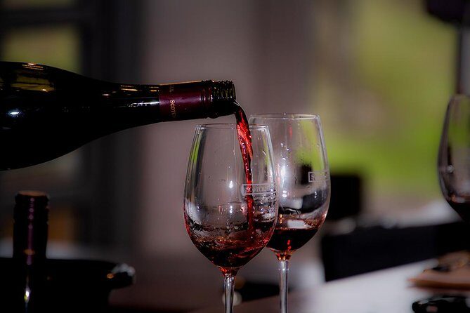 Around the Bay Food and Wine Taste Trail - FAQ