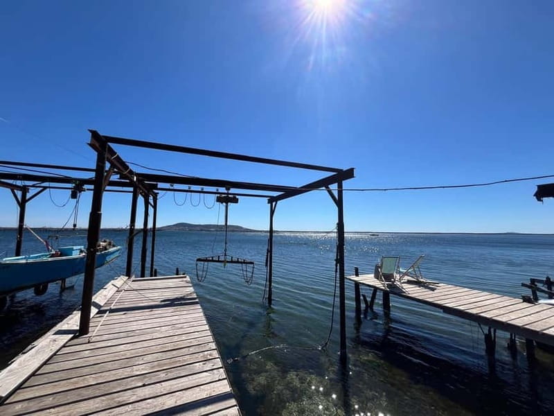 Around the Thau lagoon - tours and tastings - Authenticity and Cultural Depth