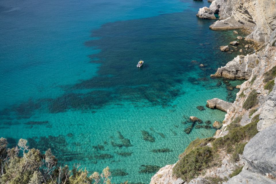 Arrábida: Boat Tour Along the Heart of Sesimbra - Key Points