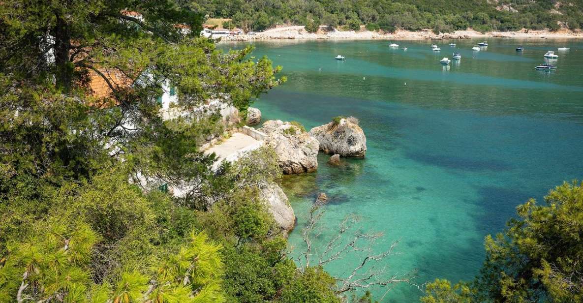 Arrábida - Highlights Full Day Setúbal Tour - Key Points