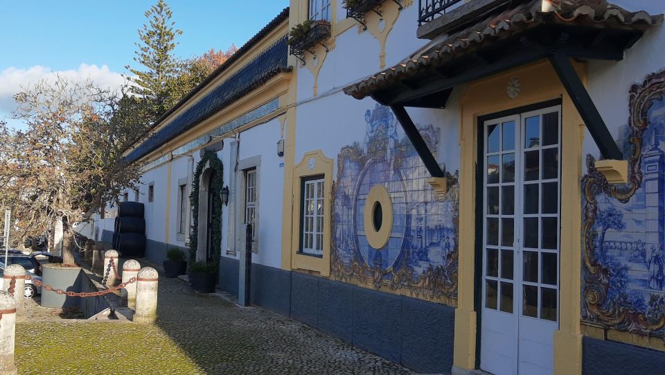 Arrábida - Highlights Full Day Setúbal Tour - Important Information