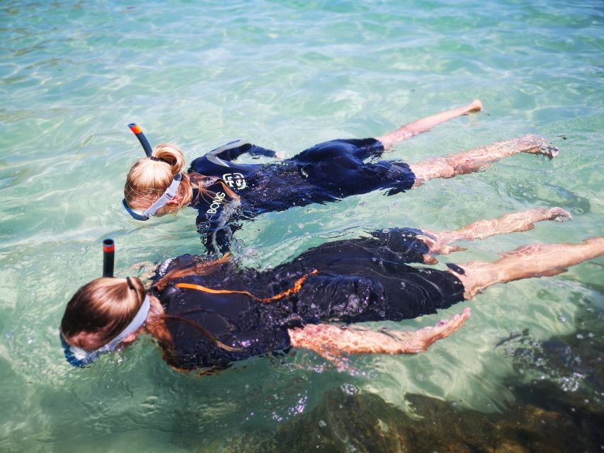 Arrábida: Kayaking and Snorkeling Experience - Exploring Arrábida National Park