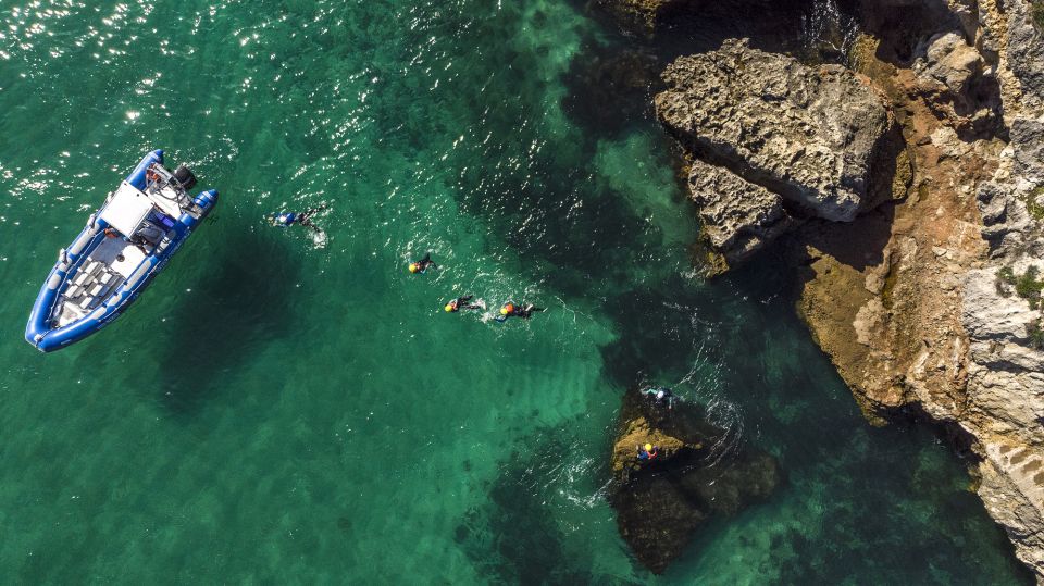 Arrábida Natural Park: Coasteering Trip With Speedboat Ride - Regional Fauna and Flora