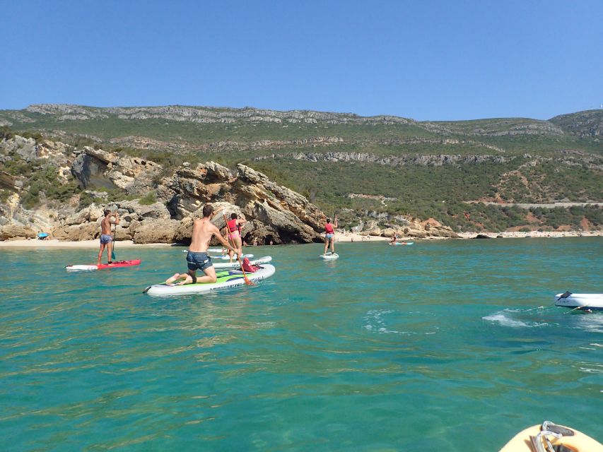 Arrábida Natural Park: Stand Up Paddleboard Tour and Lesson - Suitable for Groups and Events