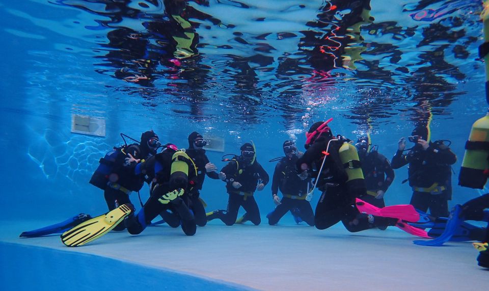 Arrábida: Open Water Diver Course in Arrábida Marine Reserve - Pricing and Payment