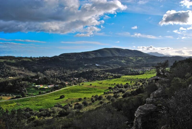 Arrábida & Sesimbra Day Trip: Wine Tasting, Nature & Beaches - Deep Dive into the Itinerary