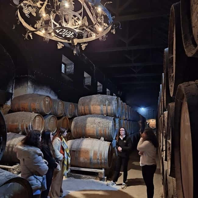 Arrábida - Sesimbra: Jeep Tour and Wine Tasting at Azeitão - A Practical Guide to the Tour Experience