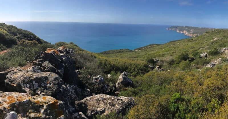 Arrábida - Sesimbra: Jeep Tour and Wine Tasting at Azeitão - Authenticity and Value