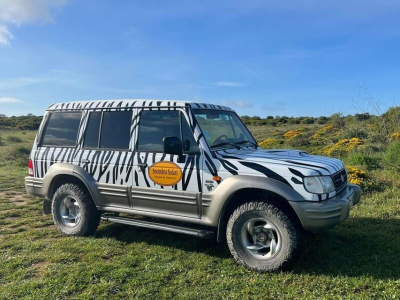 Arrábida - Sesimbra: Jeep Tour and Wine Tasting at Azeitão - Final Thoughts