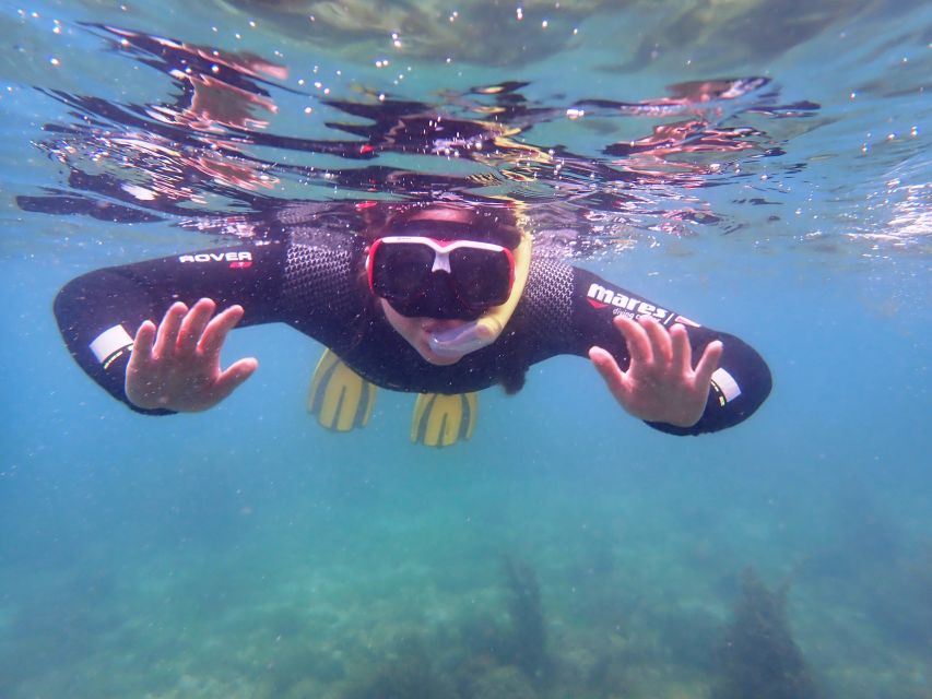 Arrábida: Snorkeling Experience in Arrábida Marine Reserve - Knowledgeable and Certified Instructors