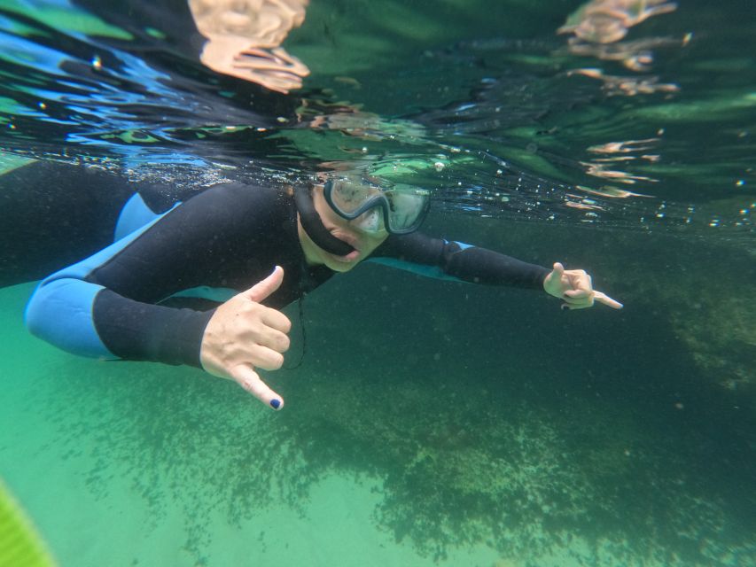 Arrábida: Snorkeling Experience in Arrábida Marine Reserve - Inclusions and Equipment Provided