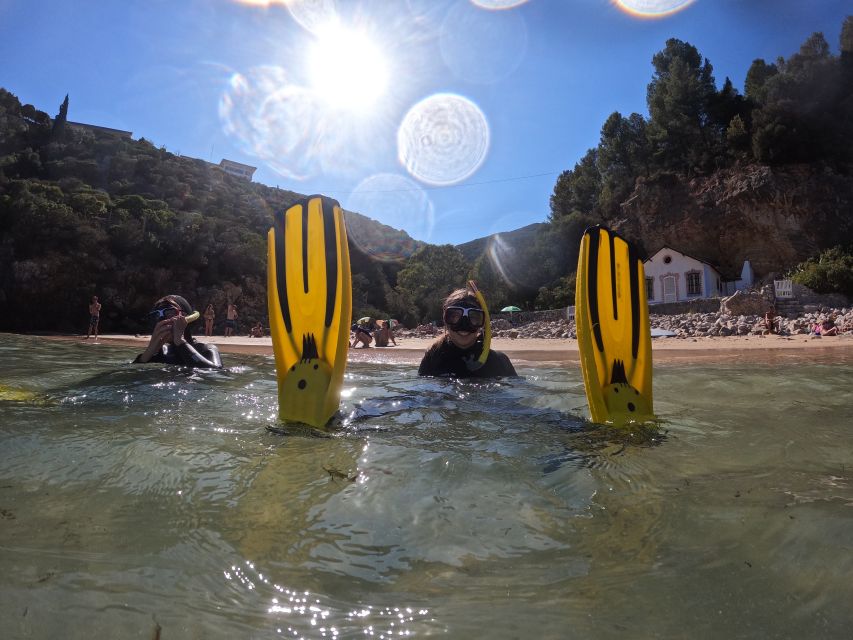Arrábida: Snorkeling Experience in Arrábida Marine Reserve - Restrictions and Safety Considerations