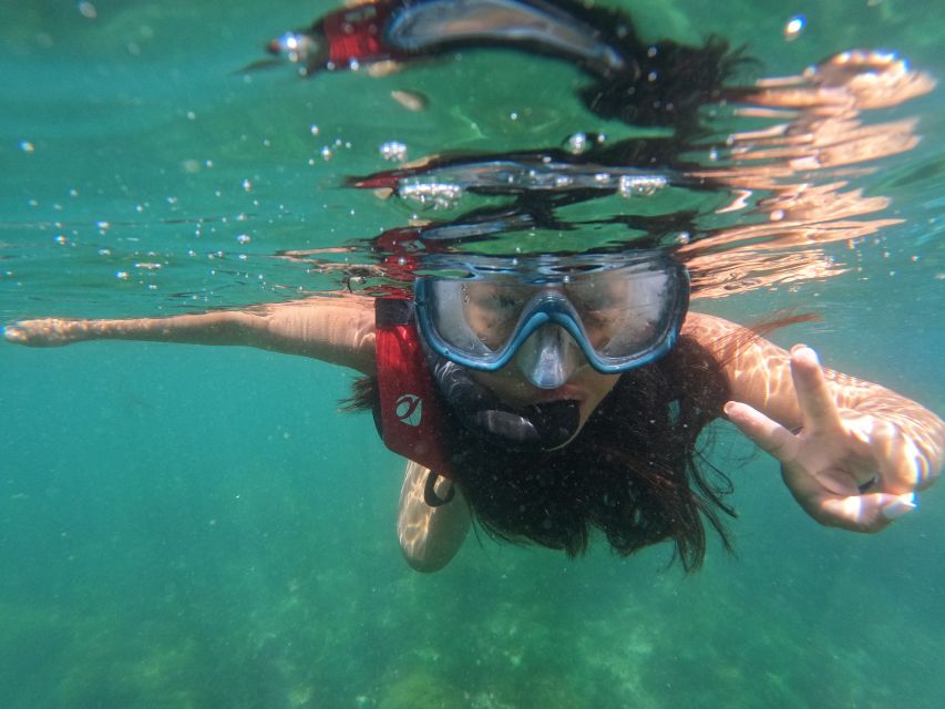 Arrábida: Snorkeling Experience in Arrábida Marine Reserve - Customer Reviews and Recommendations