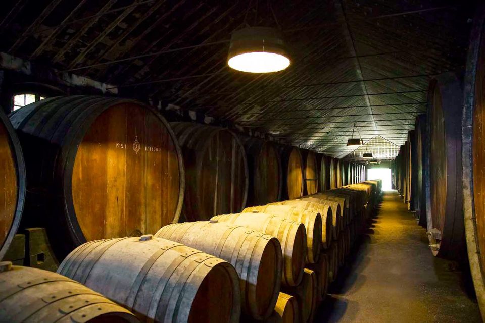 Arrábida Tour, Portugal: The Winery and the Mountain Charms - Discovering Portugal Winery