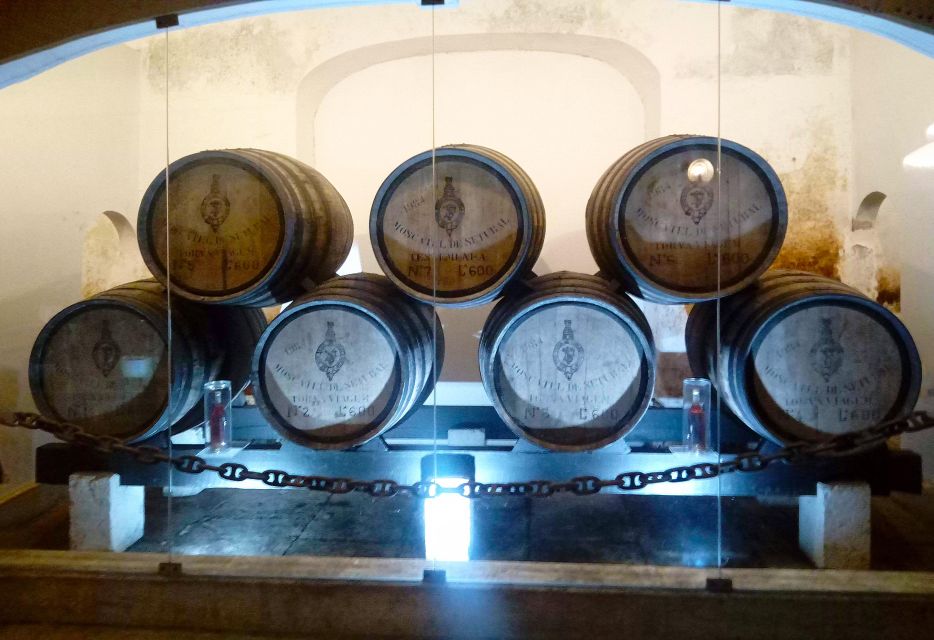 Arrábida Tour, Portugal: The Winery and the Mountain Charms - Meeting Point and Duration