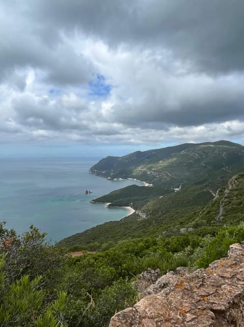 Arrábida: Wine Tour & Tastings Day Tour (Private) - Practical Considerations and Tips