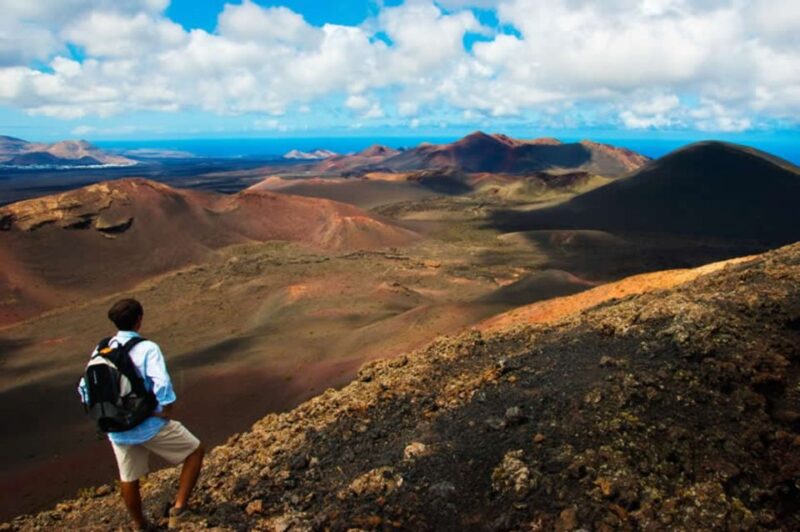 Arrecife/Playa Blanca: Timanfaya National Park Area Day Tour - Highlights and Activities