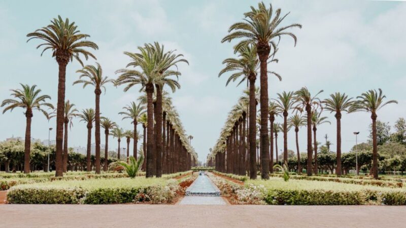 Arrival Casablanca Airport International to Big Cities - Vehicle Specifications
