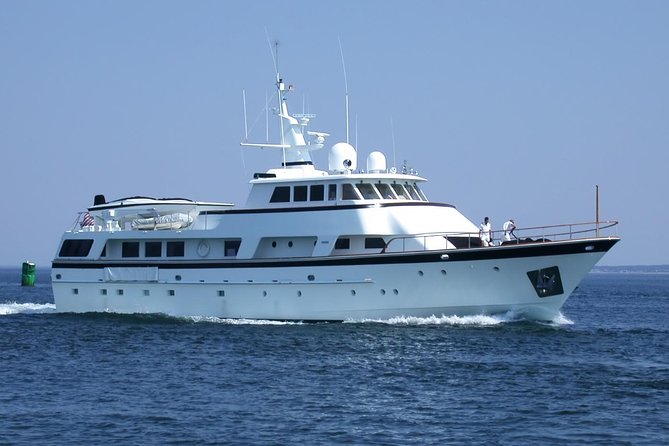 Arrival / Departure Private Transfer Heathrow Airport to Southampton Cruise Port - Accessibility and Luggage Restrictions