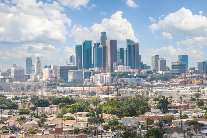 Arrival Private Transfer: Airport LAX to Los Angeles in Luxury SUV - Booking Information