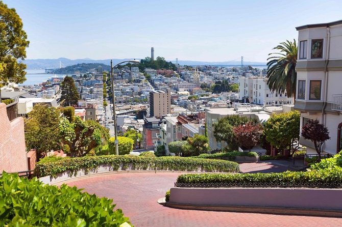 Arrival Private Transfer: Airport SFO to San Francisco in Luxury SUV - Smooth Arrival Experience at SFO