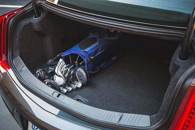 Arrival Private Transfer Dallas Airport DAL to Dowtown Dallas by Luxury Vehicle - Who Will Love This Service?