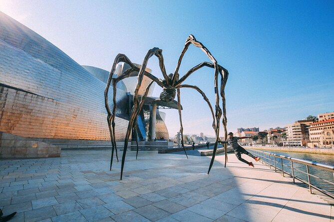 Arrival Private Transfers: Bilbao Airport BIO to Bilbao City in Luxury Van - Luxury Van Transfer