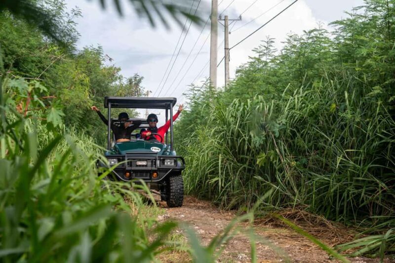 Art and Forest Way Combo Full Day Tour - What’s Not Included or Allowed