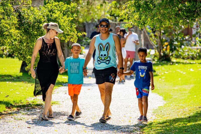 Art And Forest Way Half Day Tour - Authentic Experiences That Leave a Lasting Impression