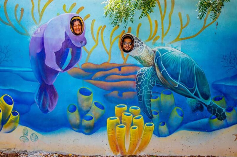 Art And Forest Way Half Day Tour - FAQ