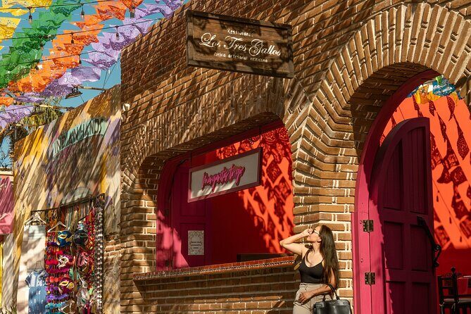 Art and Wine Evening City tour in San Jose del Cabo for Adults - Key Points