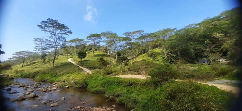 Art Lanka Knuckles Trekking - Introduction: What Makes This Trek Stand Out?