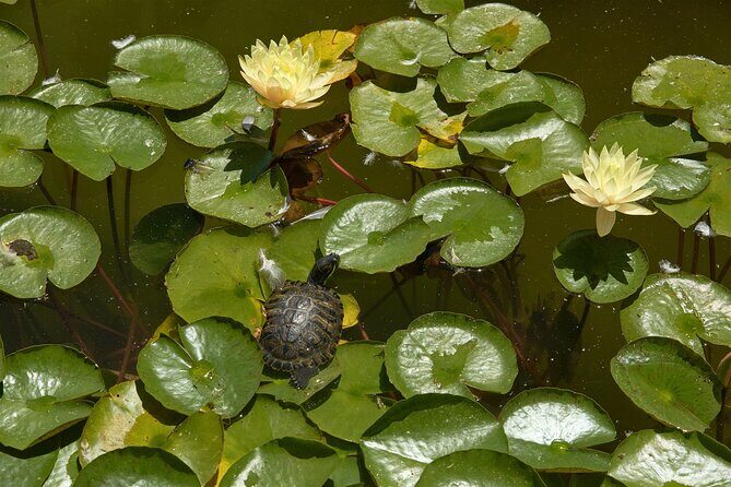 Art of Balboa Park Walking Tour - What’s Included and What to Expect