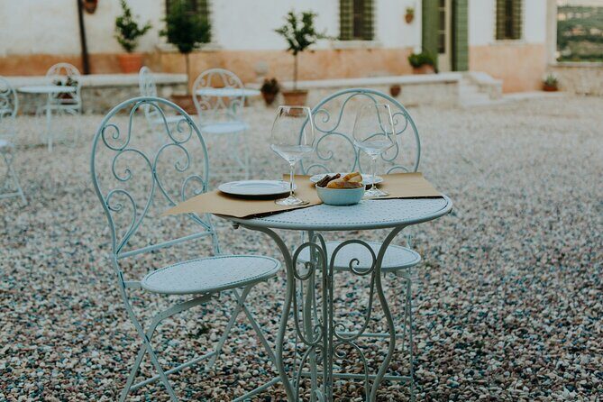 Art & Wine Experience in Valpolicella at Palazzo Montanari - An Introduction to the Experience