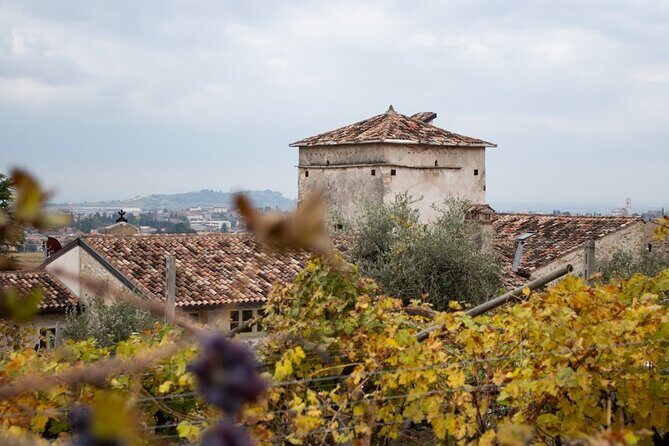 Art & Wine Experience in Valpolicella at Palazzo Montanari - The Sum Up